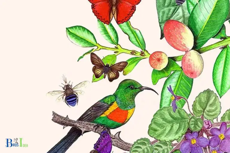What Benefits Do Hummingbirds Bring to Louisiana