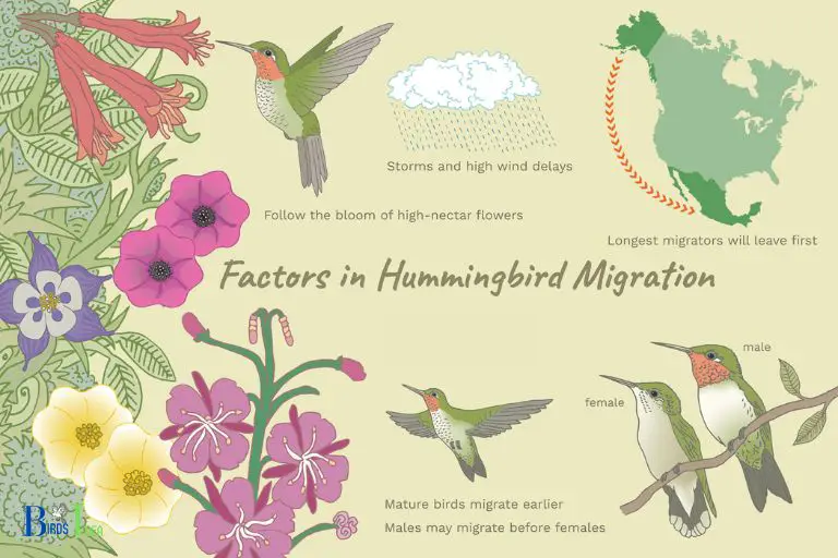 What Causes Hummingbirds to Migrate