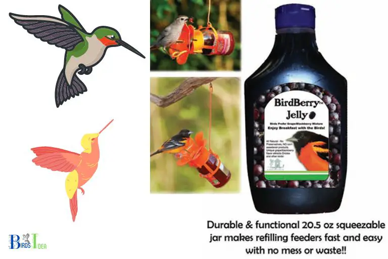 What Nutritional Benefits Does Grape Jelly Offer Hummingbirds