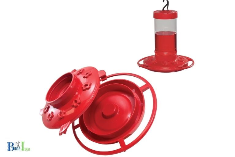 What Supplies Are Required for Opening a Hummingbird Feeder