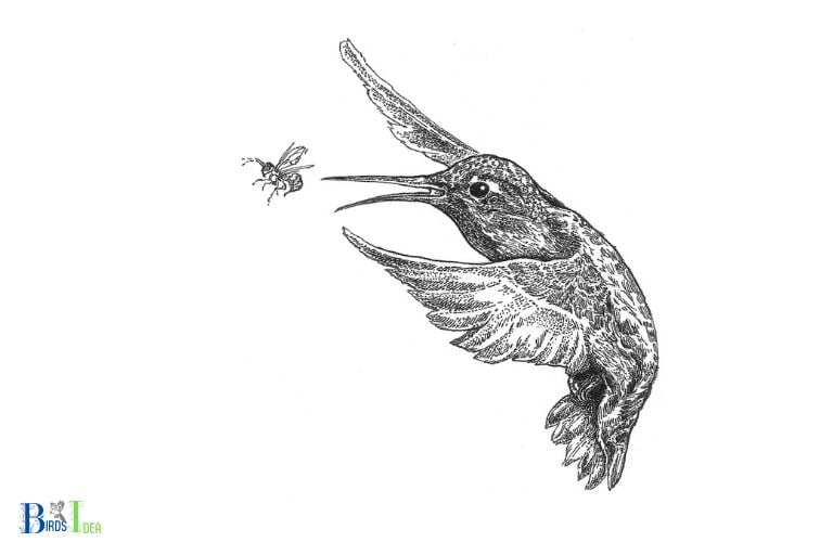What are the Benefits of Hummingbirds Eating Gnats