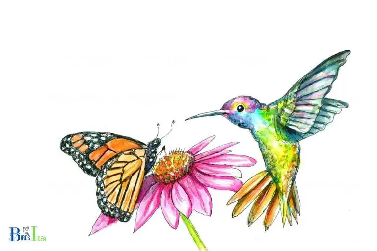 What are the Implications of Hummingbirds Not Eating Butterflies