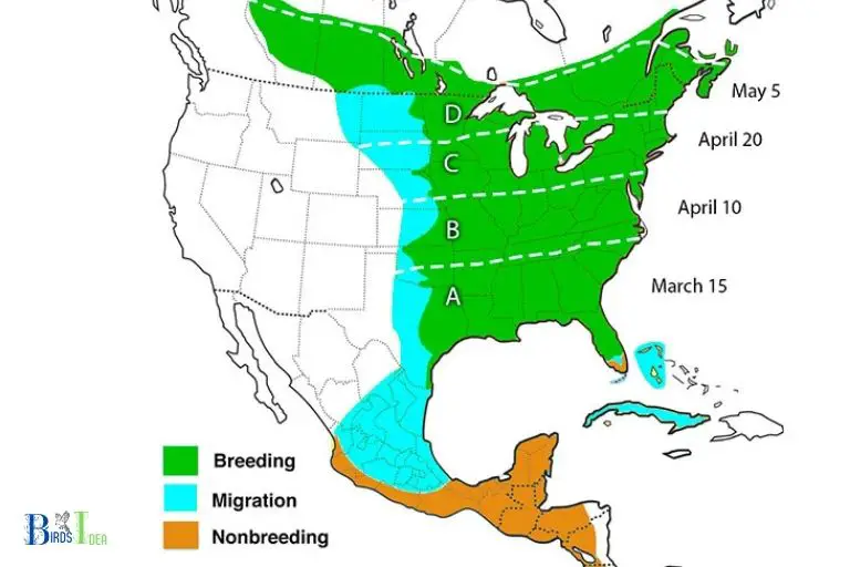 What is the Hummingbird Migration Route from Colorado