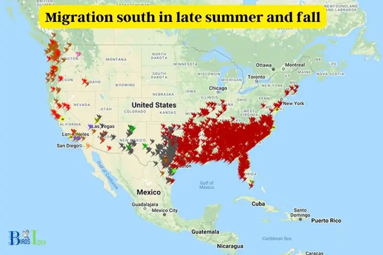 When Do Hummingbirds Start Their Migration from Connecticut