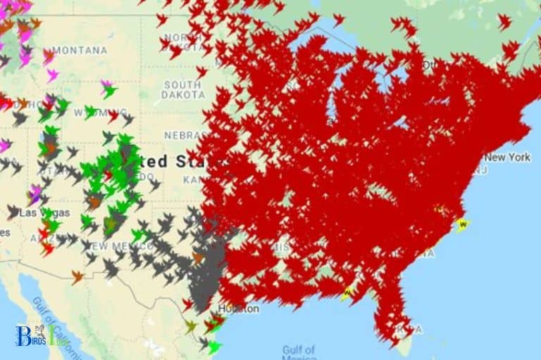 When Do Hummingbirds Typically Migration from Maryland