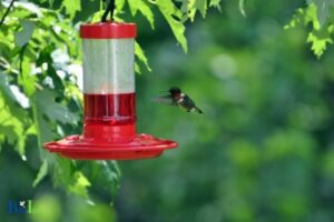 When To Put Out Hummingbird Feeders In Michigan?Late April
