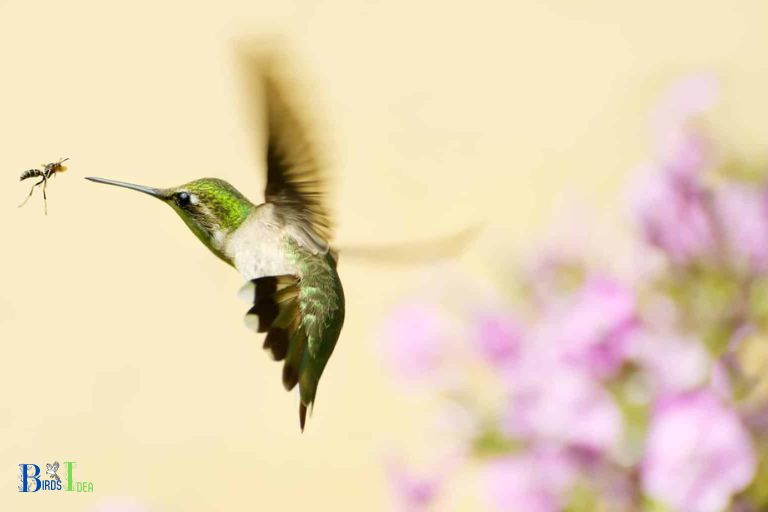 Why Do Hummingbirds Eat Gnats