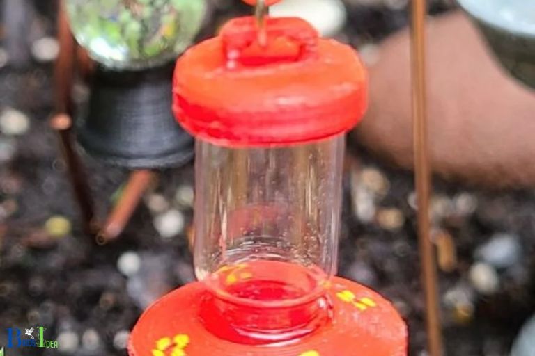 Why DonGCOt Hummingbirds Come To Feeders