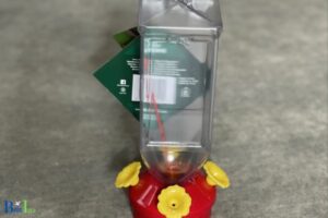 Why Wont Hummingbirds Come to My Feeder: Reasons!