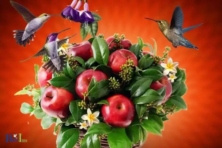 Yes Hummingbirds Do Eat Fruit