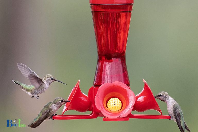 Yes Store Bought Hummingbird Nectar Is Safe For Hummingbirds to Consume