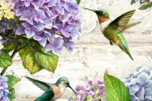 Do Hummingbirds Like Hydrangeas: Yes, 5 Species!