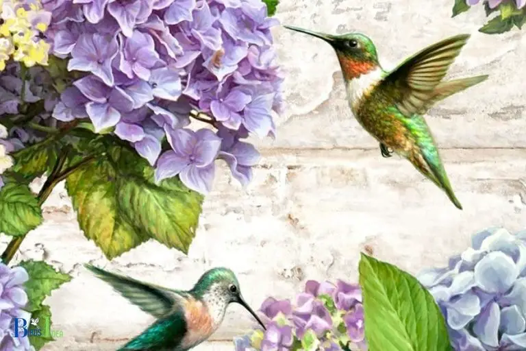 do hummingbirds like hydrangeas