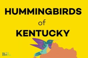 When Do Hummingbirds Leave Kentucky? [End of August and into September]