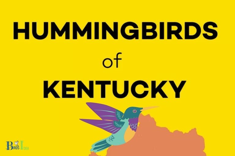 when do hummingbirds leave kentucky