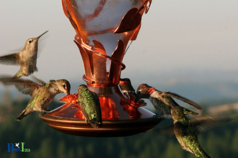 Benefits of Fresh Hummingbird Nectar