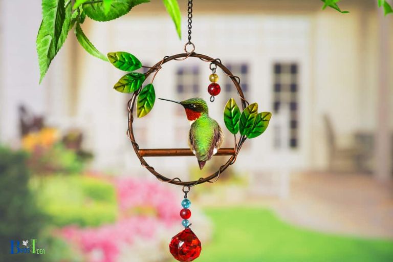 Benefits of Partial Shade for a Hummingbird Swing