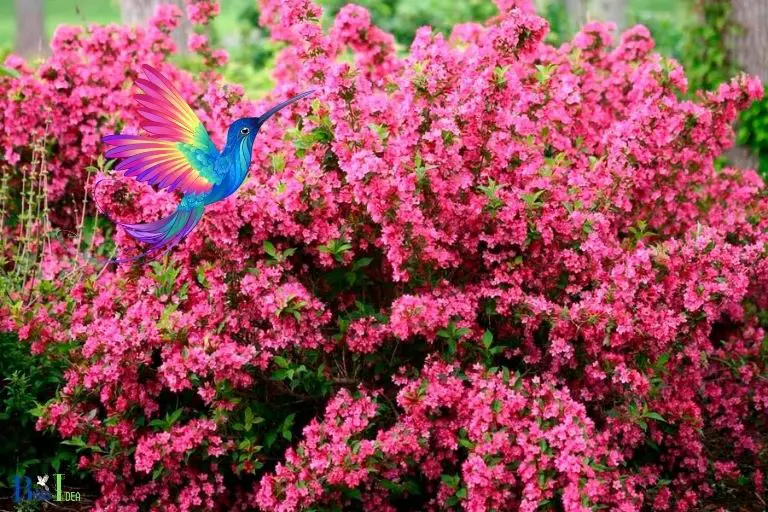 Benefits of Weigela Plants for Hummingbirds
