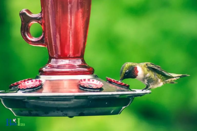 Does Hummingbird Nectar Evaporate