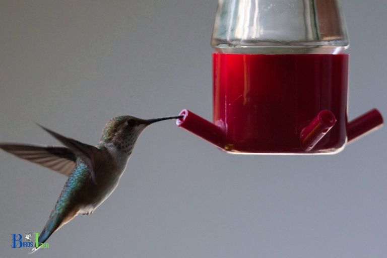 Effects of Climate on Hummingbird Nectar