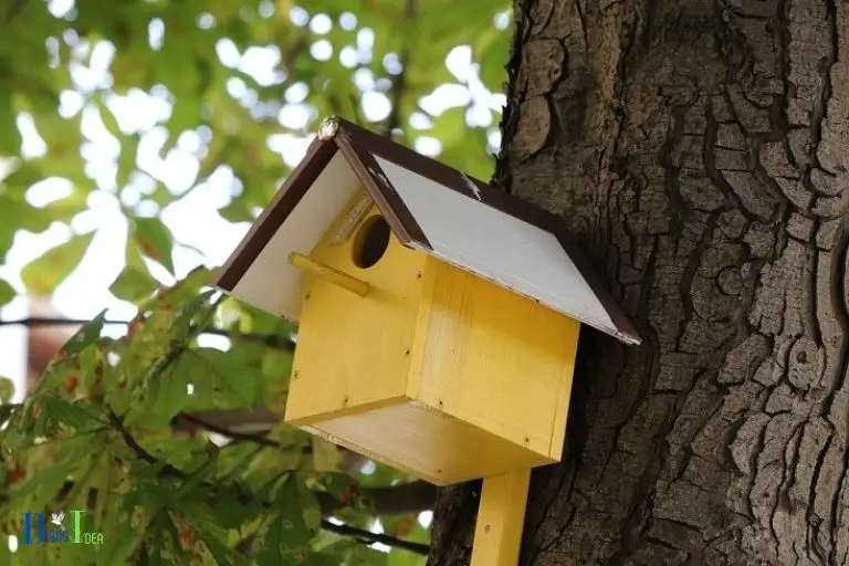 Habitate Requirements for Hummingbirds in Nebraska