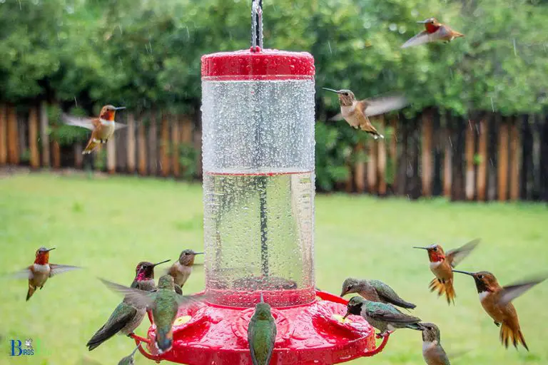 How Do Nectar Sources Affect Hummingbird Populations