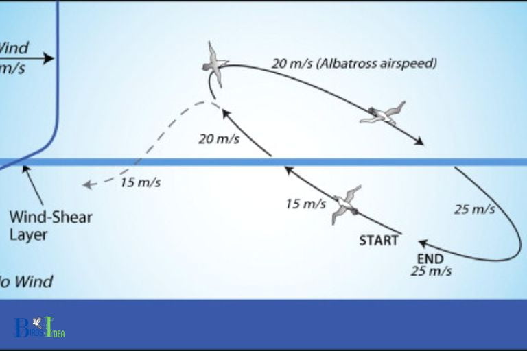 How Does Dynamic Soaring Work