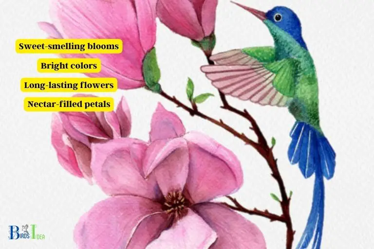 How Magnolia Trees Attract Hummingbirds