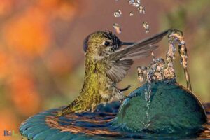 How to Attract Hummingbirds in Michigan: 10 Steps!