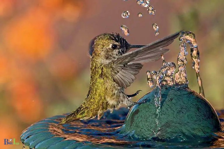 How to Attract Hummingbirds in Michigan