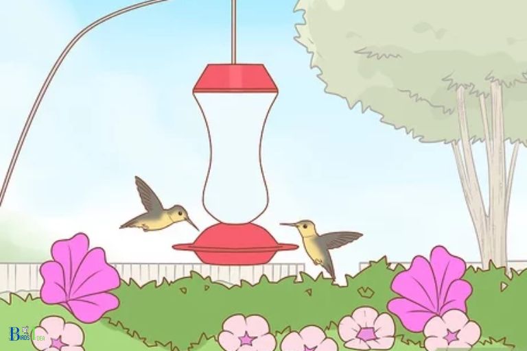 How to Make a Hummingbird Friendly Environment