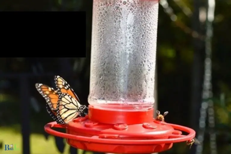 Hummingbird Nectar is Nutrient Source for Different Species of Butterflies