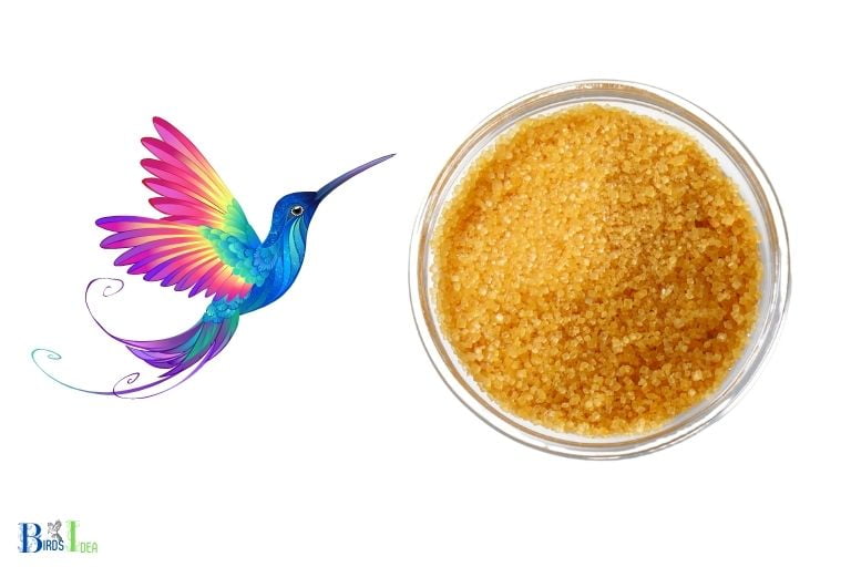 Is Golden Sugar Safe and Nutritionally Beneficial for Hummingbirds