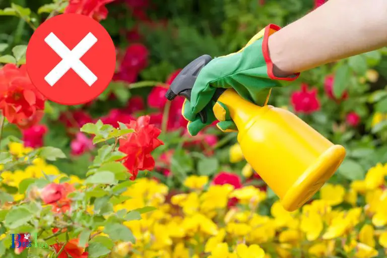 Reducing or Eliminating Pesticides