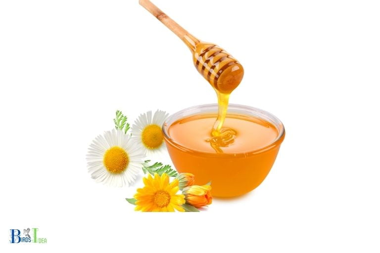 The Dangers of High Sugar Concentration in Honey