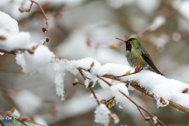 The Impact of Cooler Weather on Food Sources