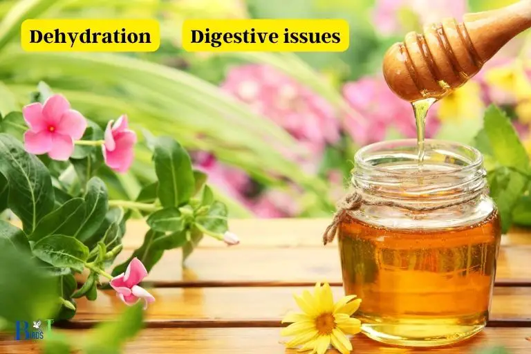 The Risks of Dehydration and Digestive Issues Caused by Honey