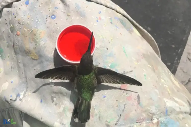 Tips Get a Hummingbird Out of Your Skylight