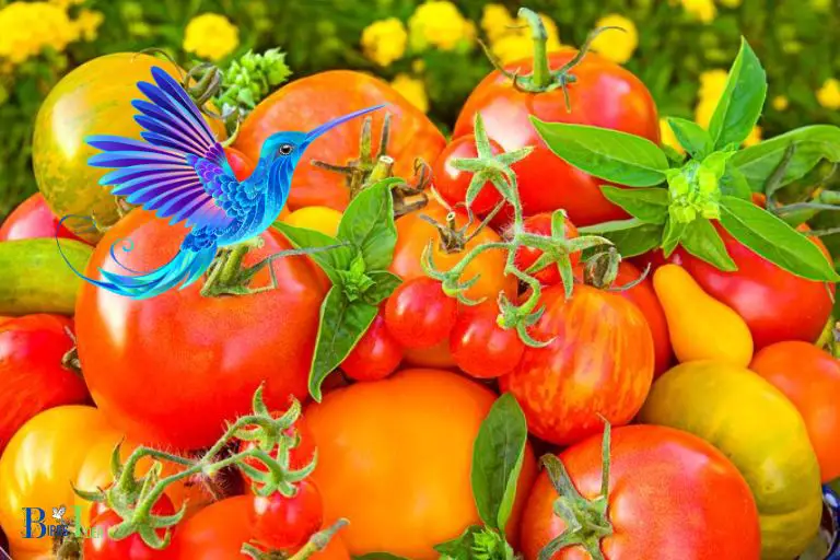 Tomatoes are not generally included as food sources for hummingbirds