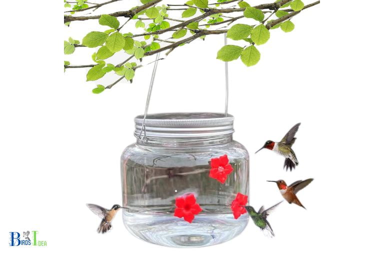 Varieties of Containers for Hummingbird Feeders