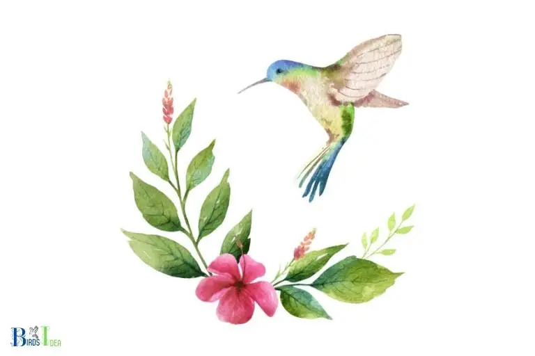 What Are the Different Ways to Incorporate a Hummingbird and Flower Design