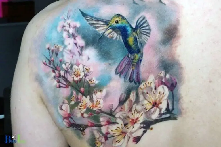 What Does the Combination of a Hummingbird and Flower Symbolize