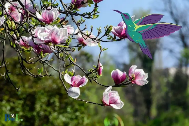 What Hummingbirds Do for Magnolia Trees