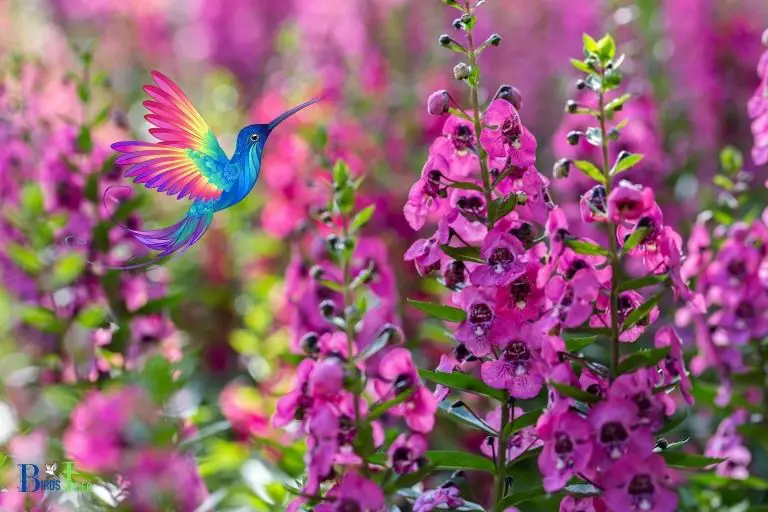 What Makes Angelonia Attractive to Hummingbirds