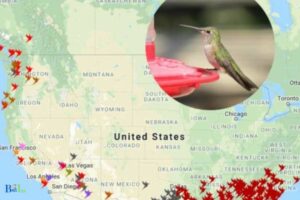 When Do Hummingbirds Leave Central New York?