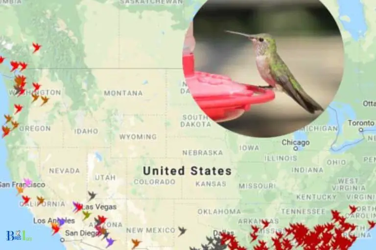 When Do Hummingbirds Leave Central New York