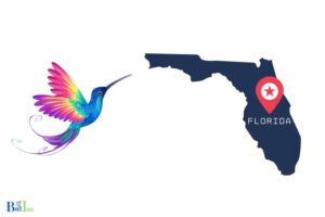 When Do Hummingbirds Leave North Florida? September To October