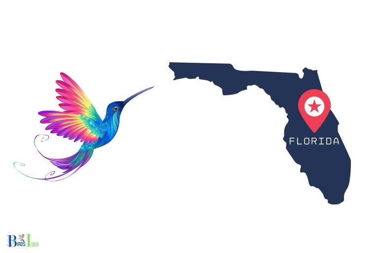 When Do Hummingbirds Leave North Florida