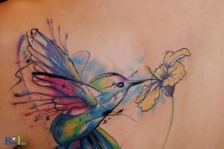 Why Are Hummingbirds and Flowers Popular for Tattoos