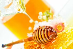 Why Is Honey Bad for Hummingbirds? For High Concentration Of Sugar